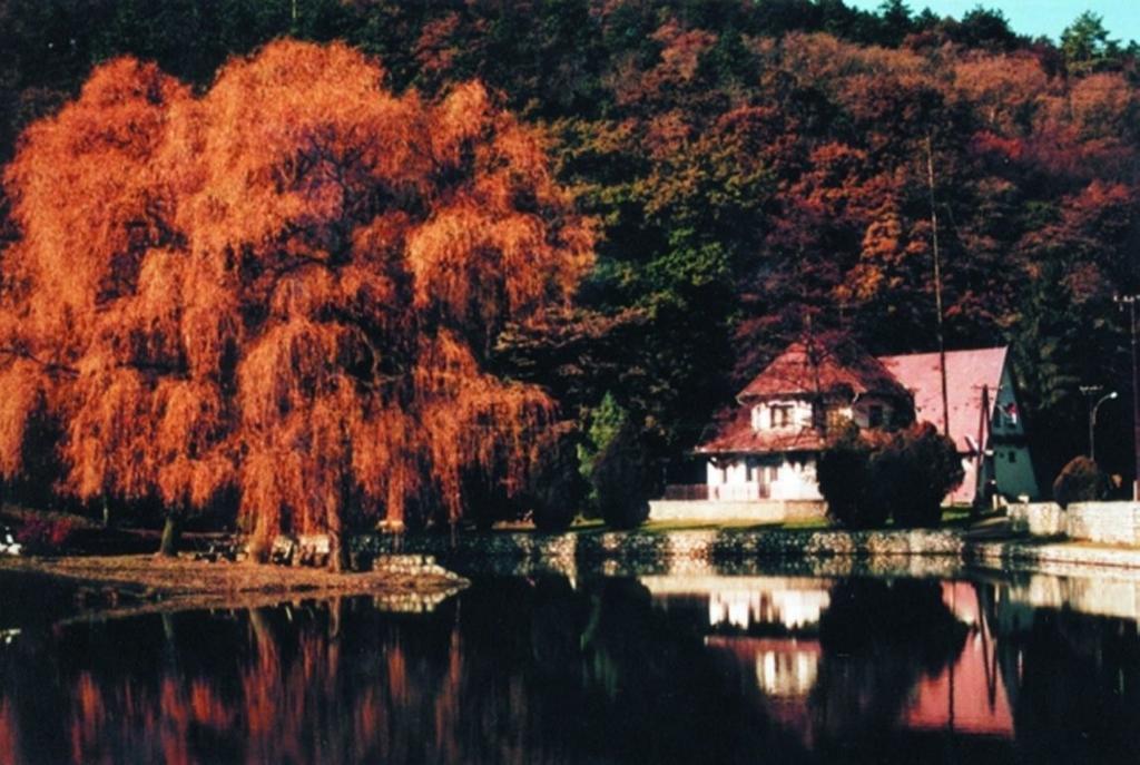 Hotel Sikfokut Noszvaj Extérieur photo